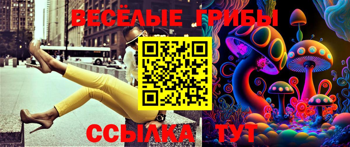 Галлюциногенные грибы мухоморы Зеленокумск
