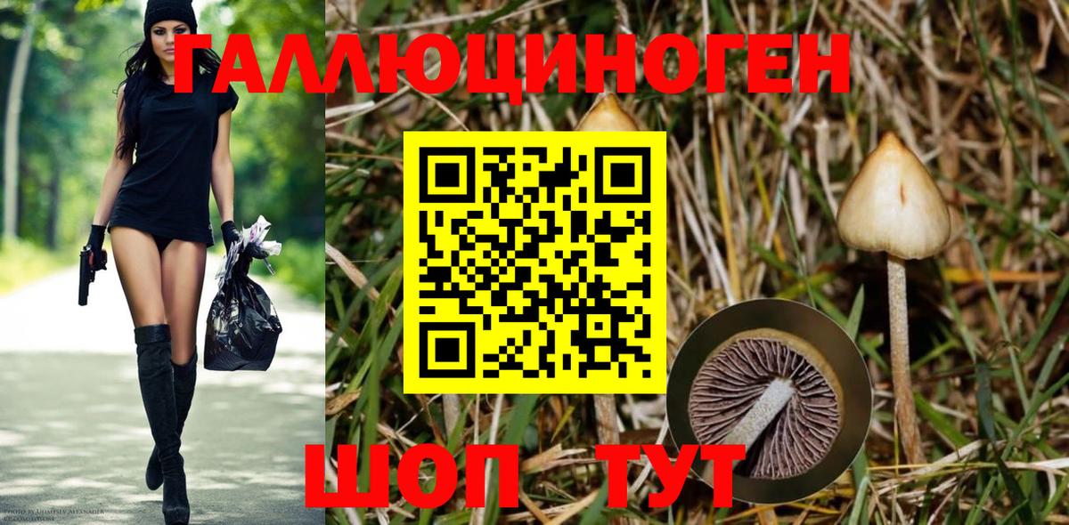 Псилоцибиновые грибы Cubensis  Галлюциногенные грибы Psilocybine cubensis  Зеленокумск  Вход с VPN 
